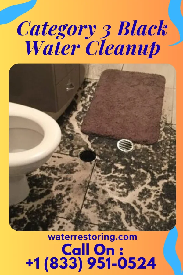 Category 3 Black Water Cleanup in White Hall, WV