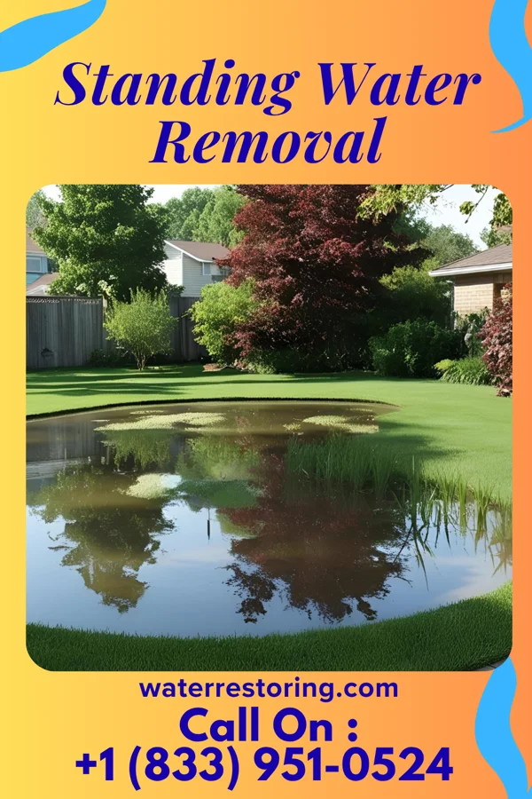 Standing Water Removal in White Hall, WV